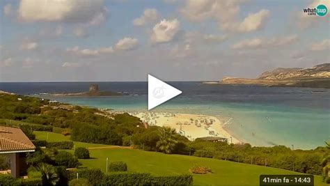 webcam la pelosa|Webcam Stintino (Sardinia): La Pelosa Beach .